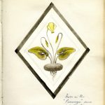 TheWindowBook1935 47