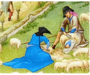 Sheep in a pen20251017 21384779 2